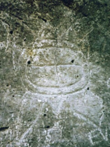 Huahine Turtle Petroglyph